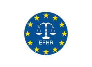 EFHR representatives in the media