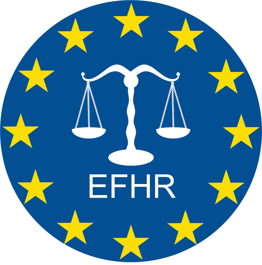 Become a trainee at EFHR!