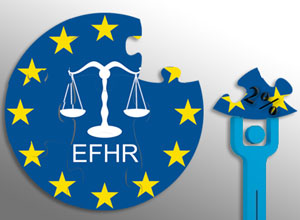 Promote the activities of EFHR!